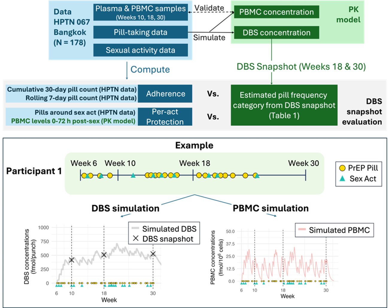 Pharmacokinetic modeling of clinical-trial data
